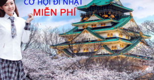 Đăng ký tham gia chương trình “White lotus” – miễn phí 100% chi phí thực tập sinh tại nhật