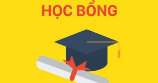 Đăng ký học bổng Skills For Future