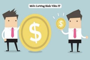 Mức Lương Sinh Viên IT Mới Ra Trường Bao Nhiêu?